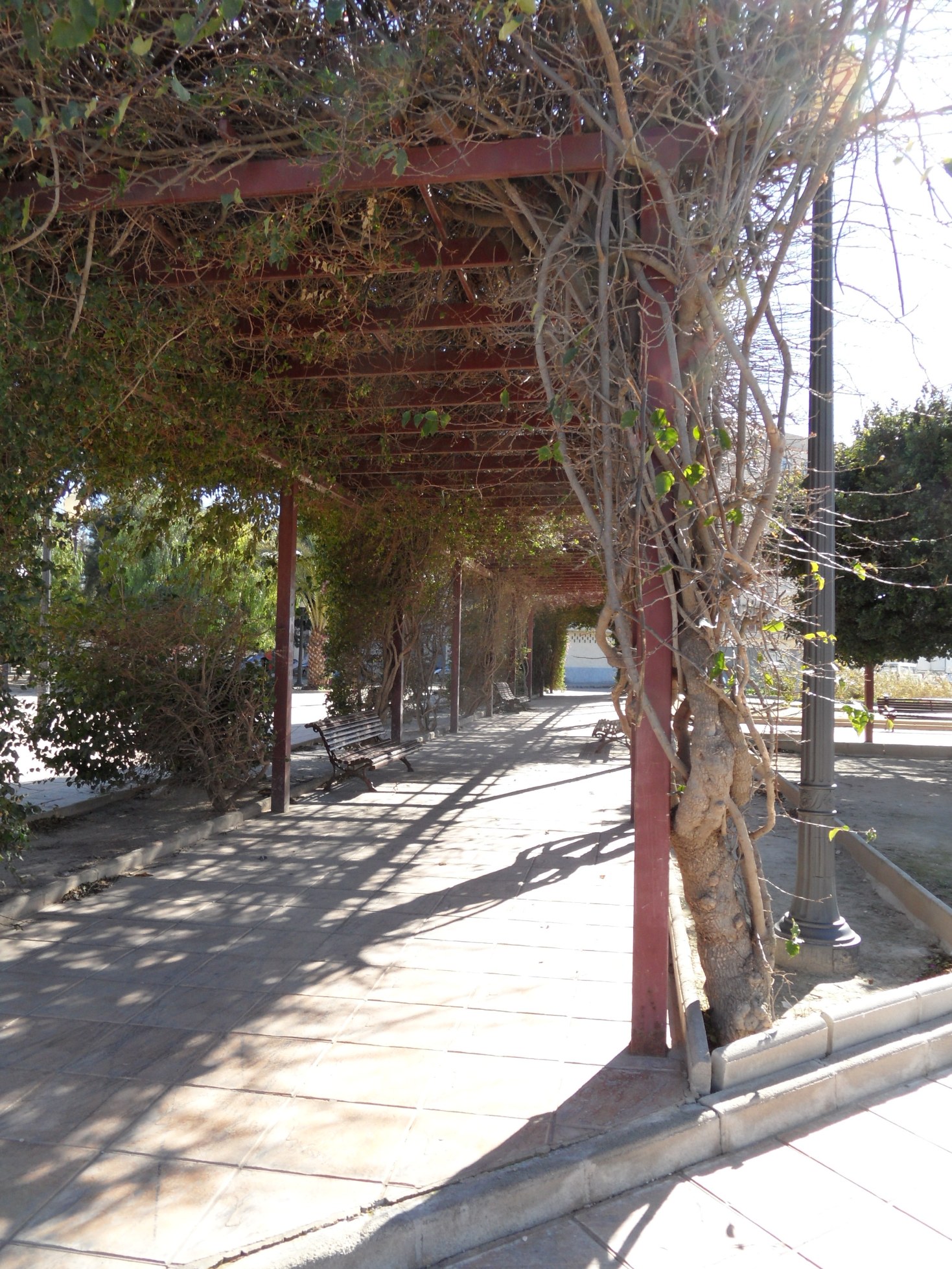 Pérgola y bancos en el Parque Ciudad de Elche, Almoradí