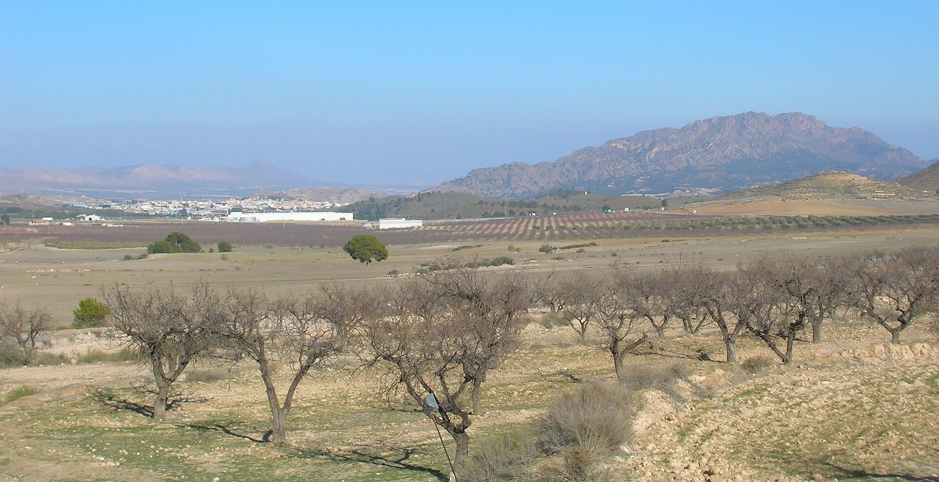 Calasparra y sierra del Molino, vista panorámica desde la carretera de Moratalla
