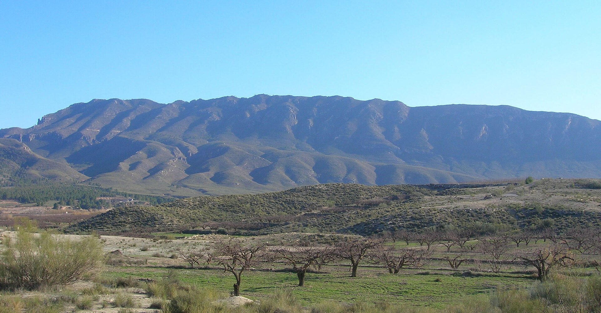 Cara norte de la sierra del Molino en Calasparra