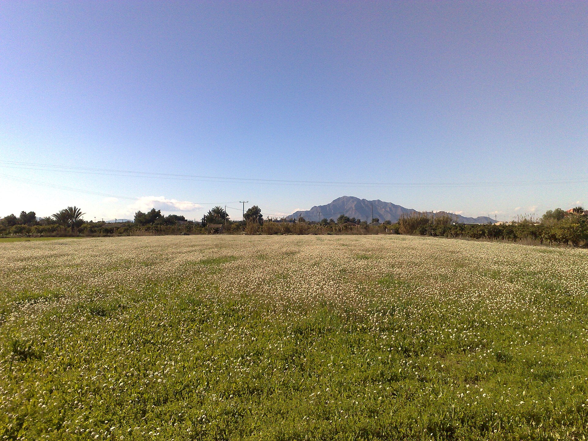 Campo y sierra visible desde Catral