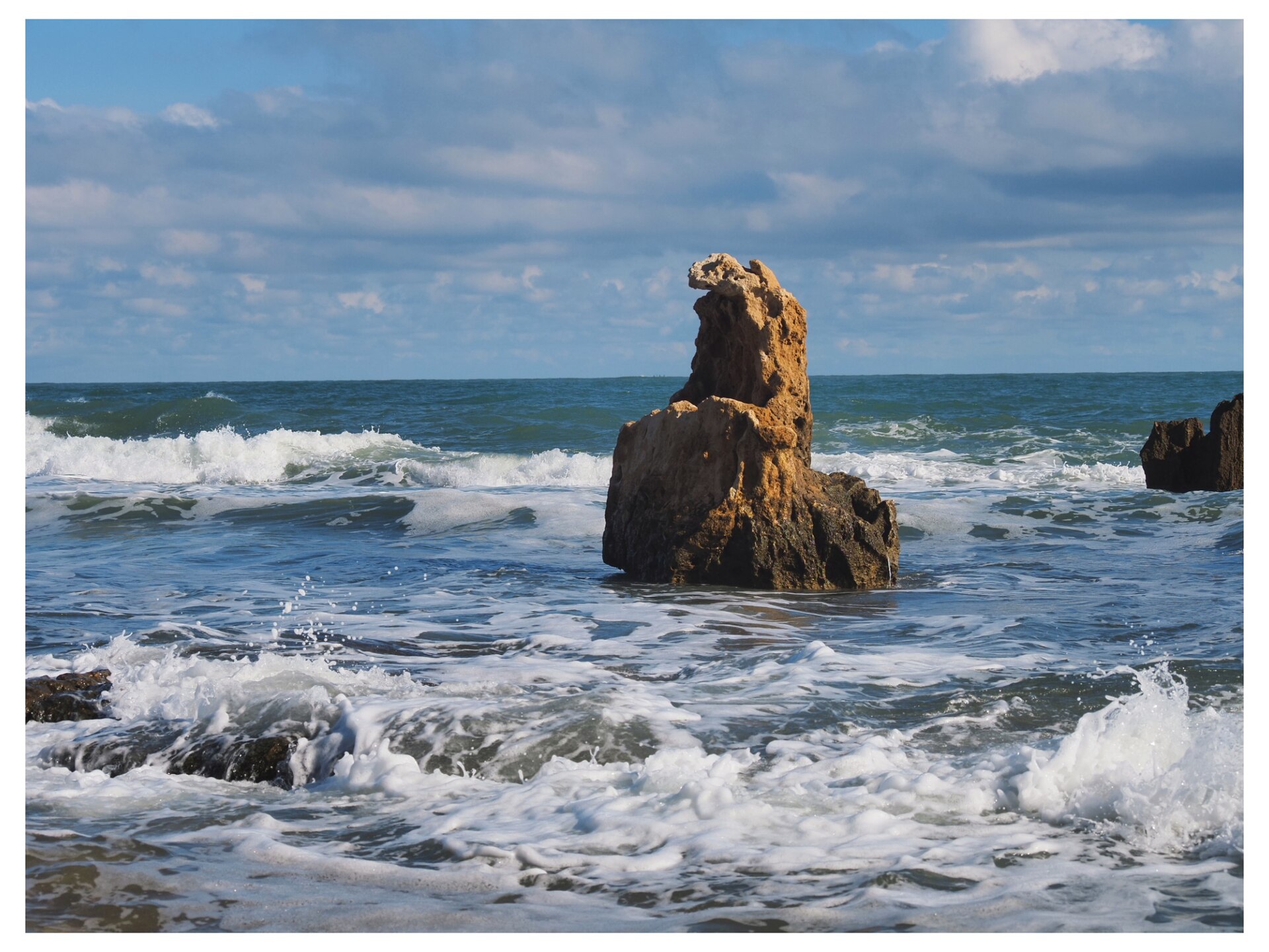 Roca erodida a la vora del mar a la cala al final de les Rotes, Dénia.