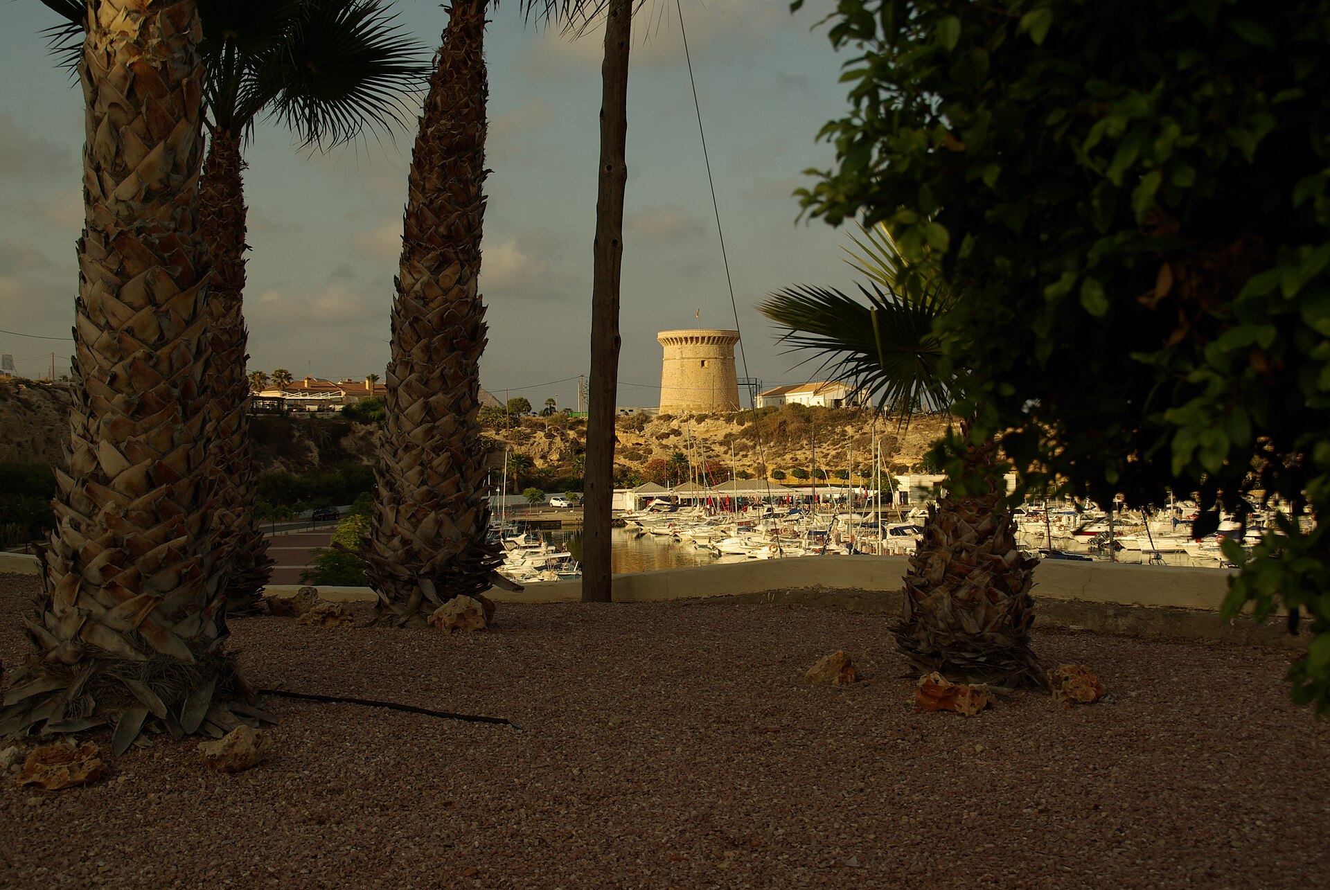 El Campello, Torre de la Illeta y puerto deportivo vistas entre palmeras