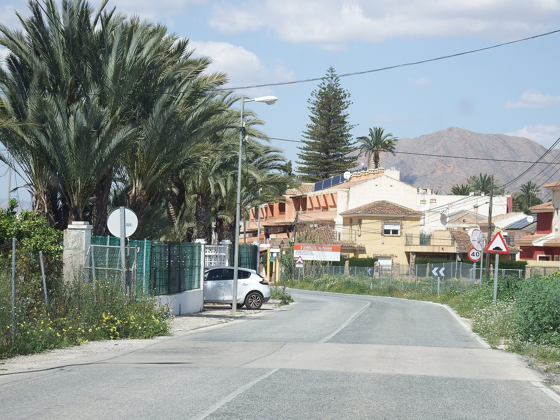 Jacarilla, alineación de palmeras y viviendas con monte al fondo