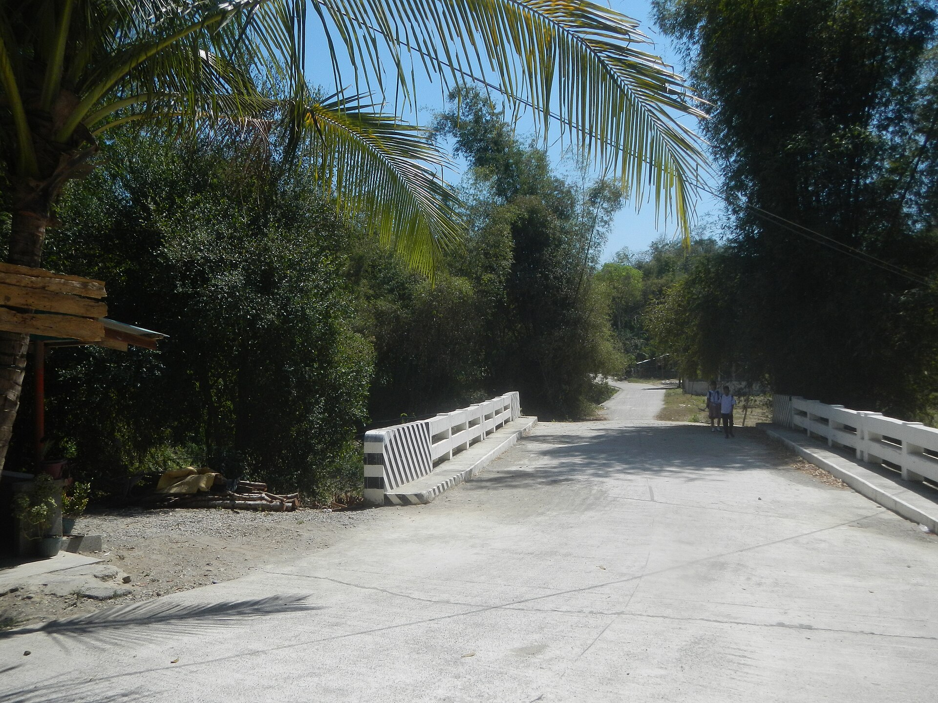 9131Agoo Tubao, La Union Boundary Barangays 59