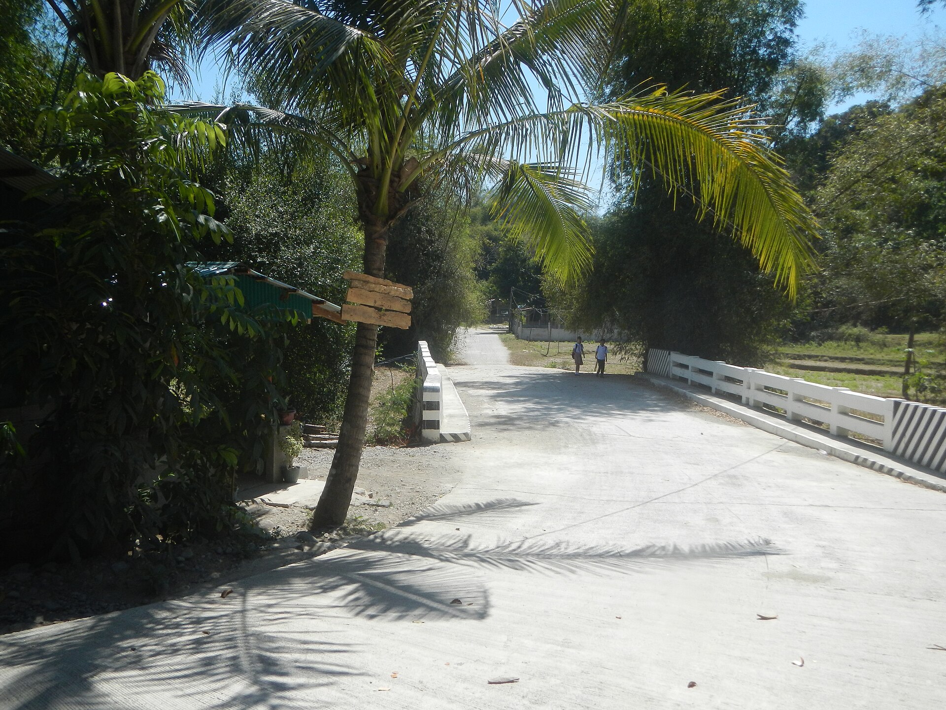 9131Agoo Tubao, La Union Boundary Barangays 57