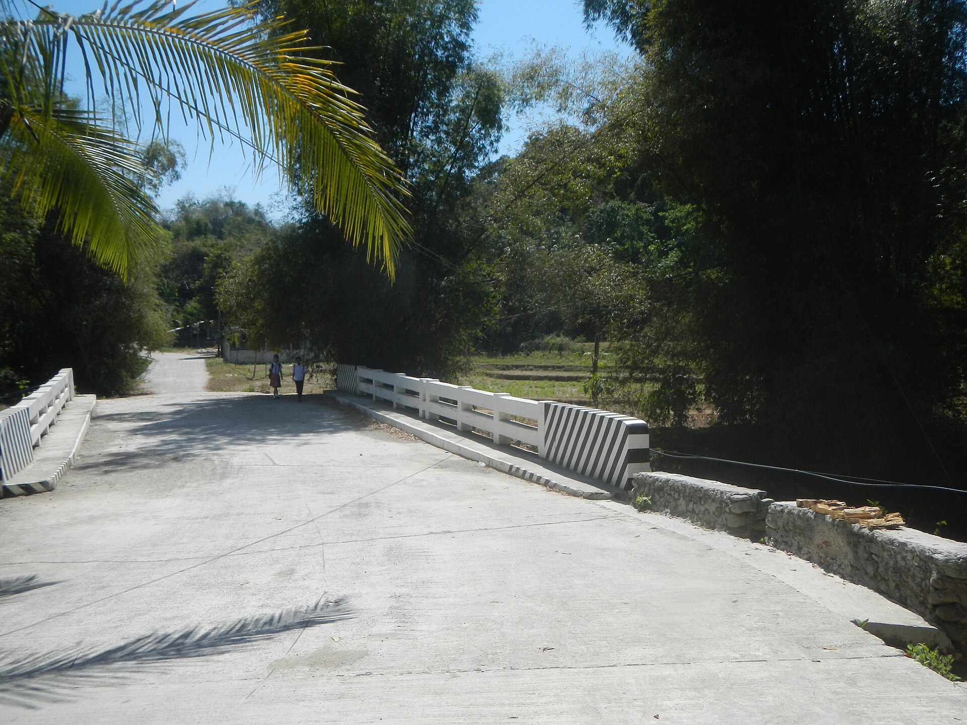 9131Agoo Tubao, La Union Boundary Barangays 58
