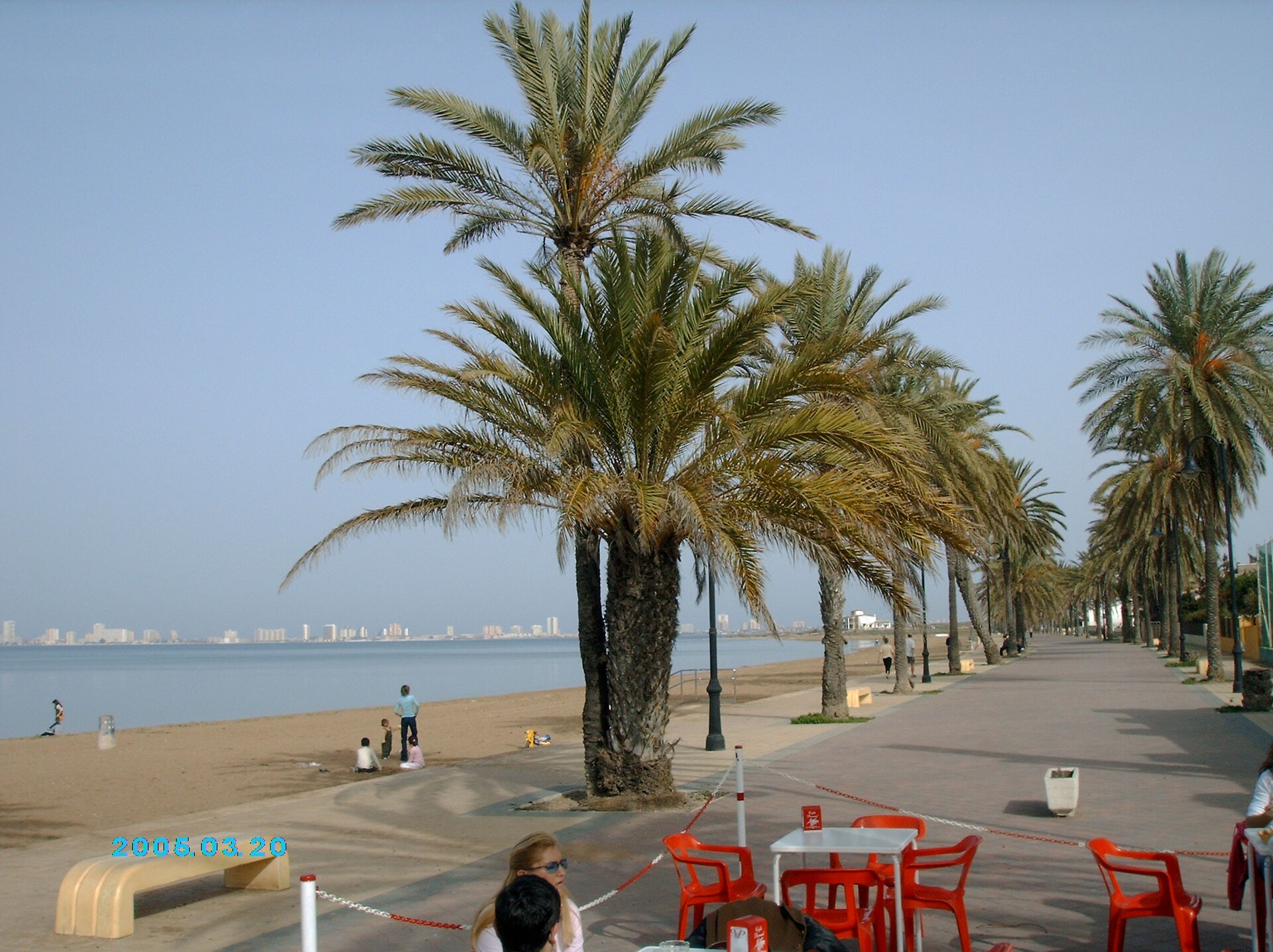 Paseo marítimo y playa de Mar de Cristal con palmeras y bancos