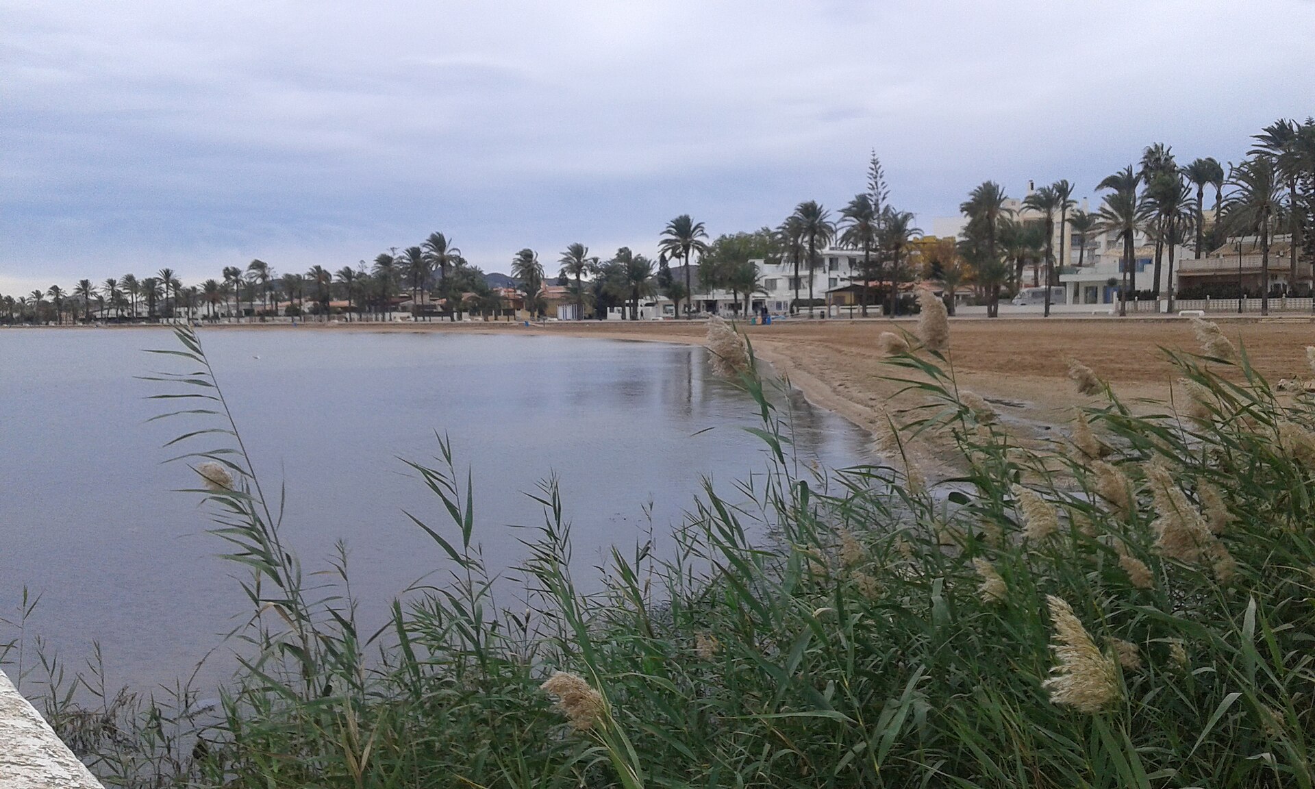 Playa y frente litoral de Mar de Cristal con edificaciones y cañas en primer plano