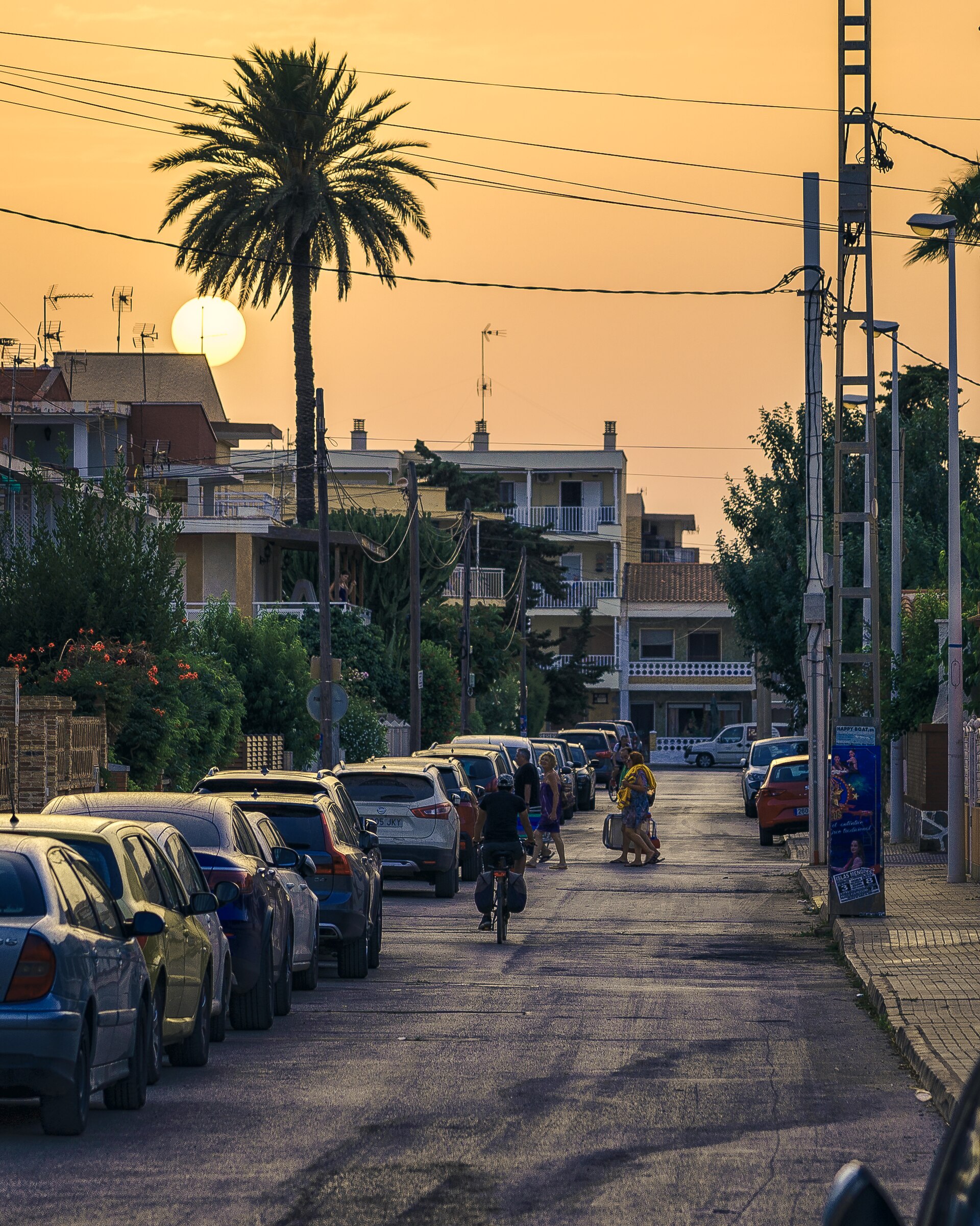 Calle de Mar de Cristal con palmera y puesta de sol