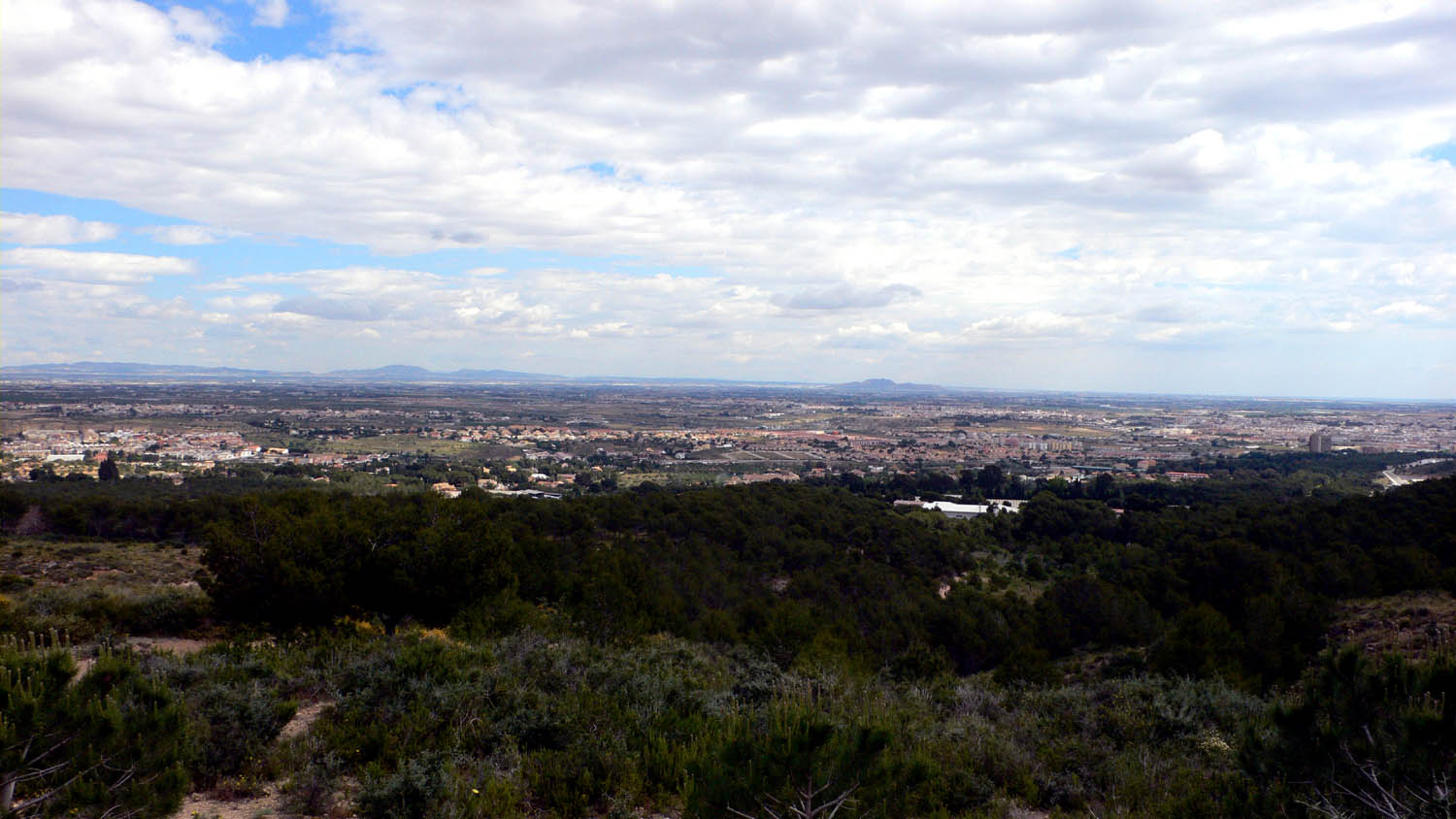 Campo de Cartagena con el cabezo Gordo y Torre‑Pacheco desde el collado del Roldán