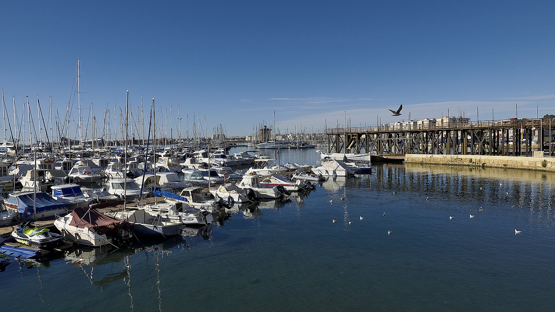Puerto deportivo de Torrevieja
